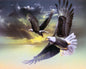 Grace & Glory Eagle Panel - David Textiles -  AL-4189  -C